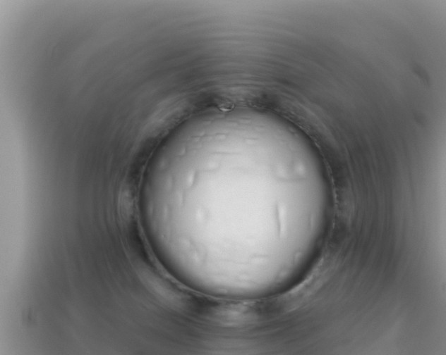 X0000114030086200910091443