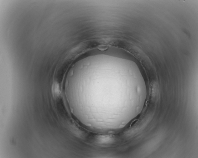 X0000114030089200910091443