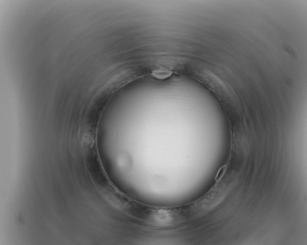 X0000114030091200910091443