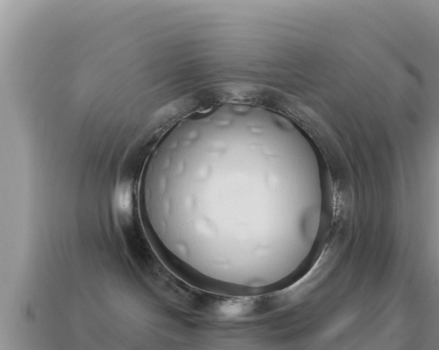 X0000114030094200910091443