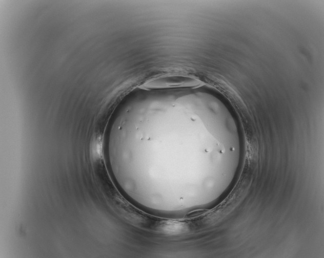 X0000114030095200910091443