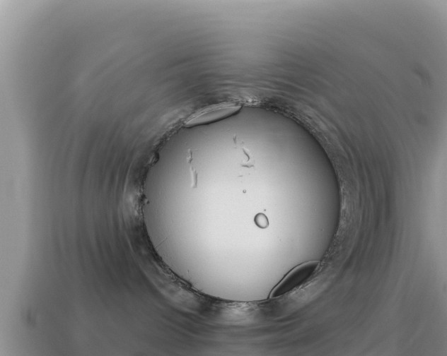 X0000114030096200910091443