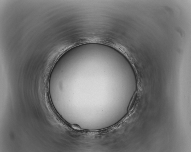 X0000114030097200910091442