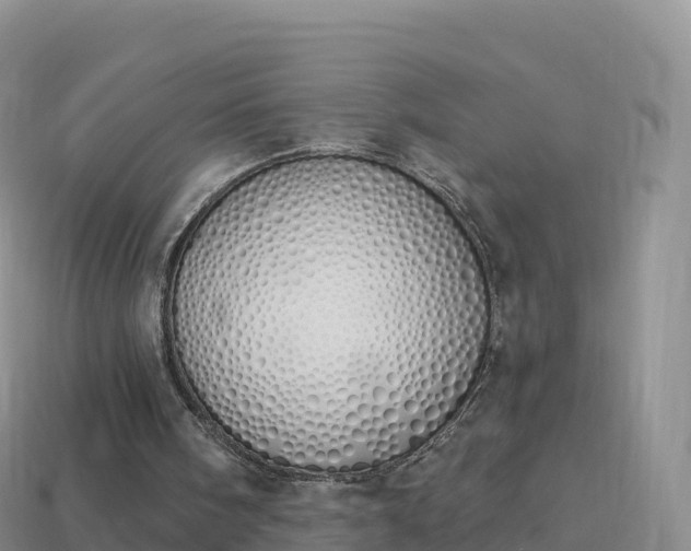 X0000114030098200910091442