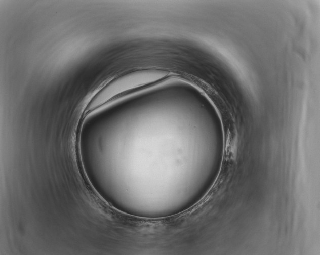 X0000114030099200910091442