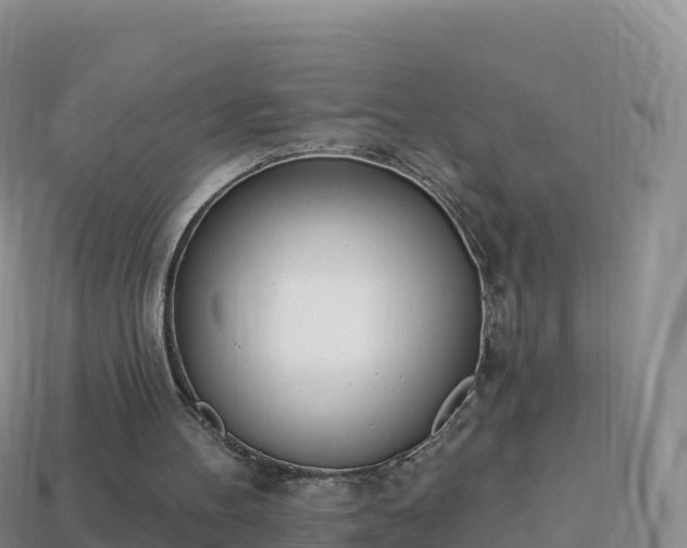 X0000114030100200910091442