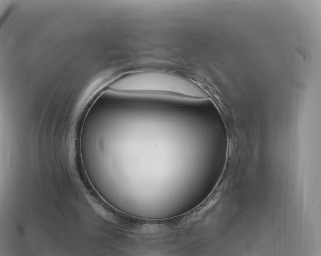 X0000114030101200910091442