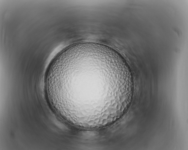 X0000114030102200910091442