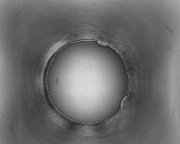 X0000114030104200910091442