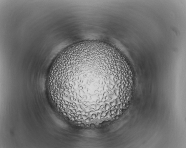 X0000114030106200910091442