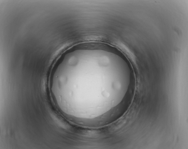 X0000114030107200910091442