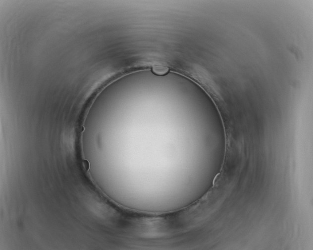 X0000114030108200910091442