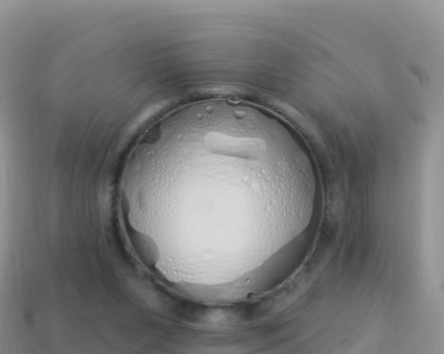 X0000114030111200910091442