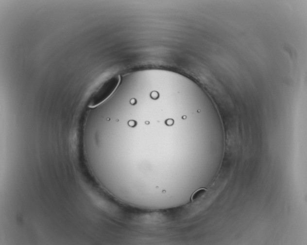 X0000114030112200910091442