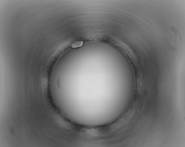 X0000114030113200910091442