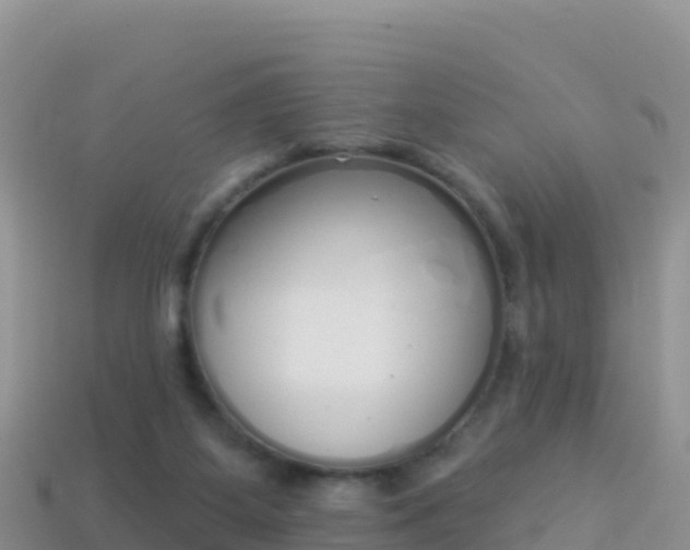 X0000114030115200910091442