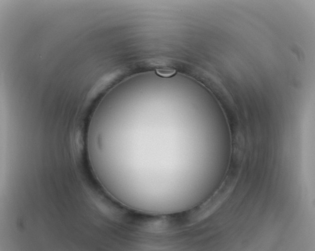 X0000114030116200910091442