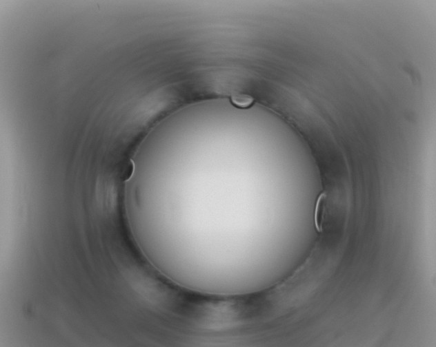 X0000114030120200910091442