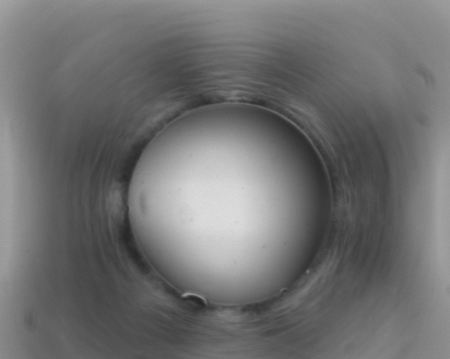 X0000114030121200910091442