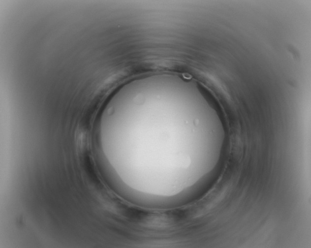 X0000114030123200910091442