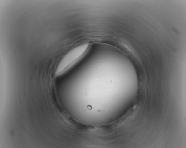 X0000114030125200910091442