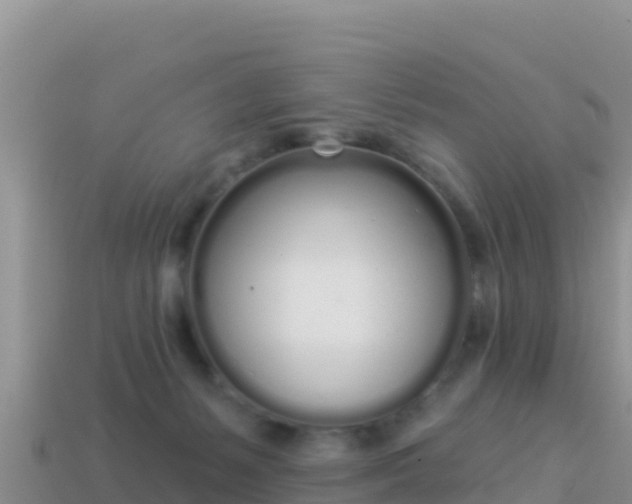 X0000114030127200910091442