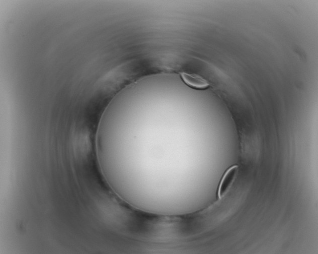 X0000114030128200910091442