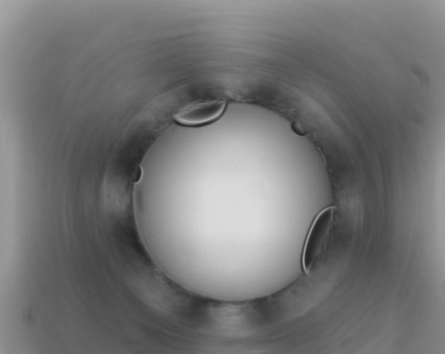 X0000114030129200910091442