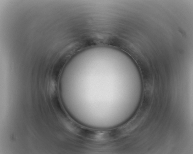 X0000114030130200910091442