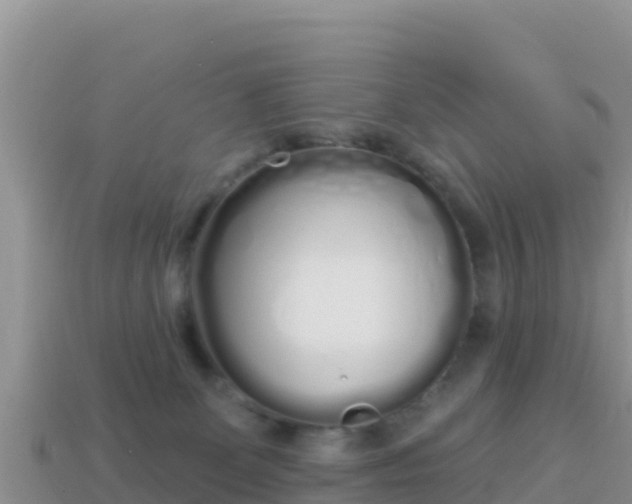 X0000114030131200910091442