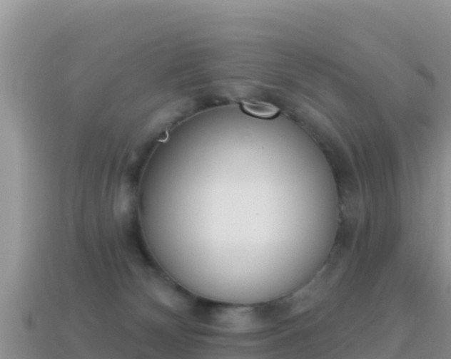 X0000114030132200910091442