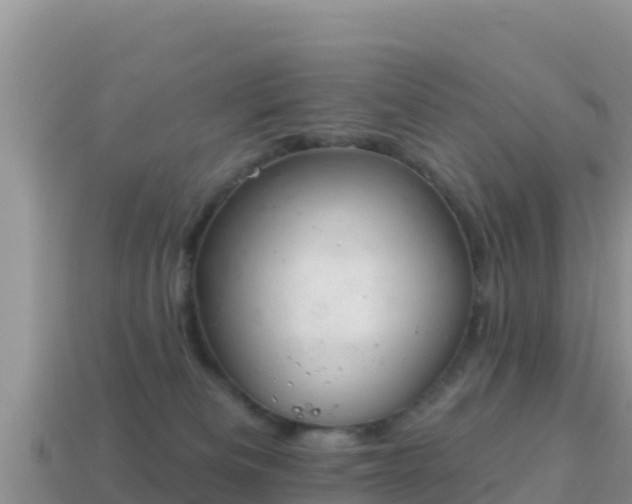 X0000114030133200910091442