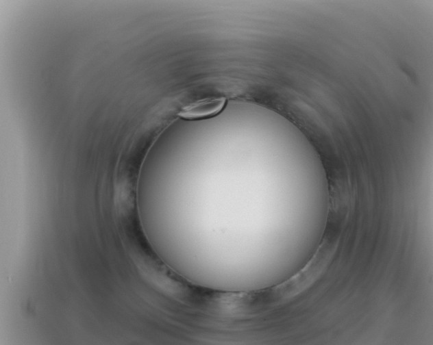 X0000114030136200910091442