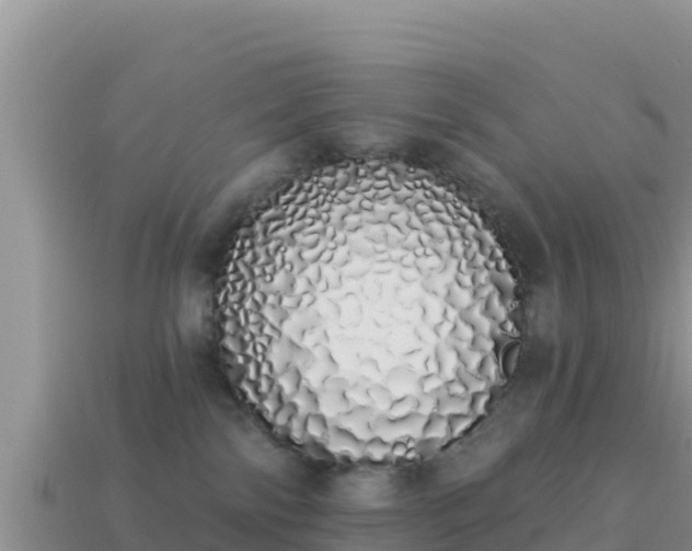 X0000114030138200910091442