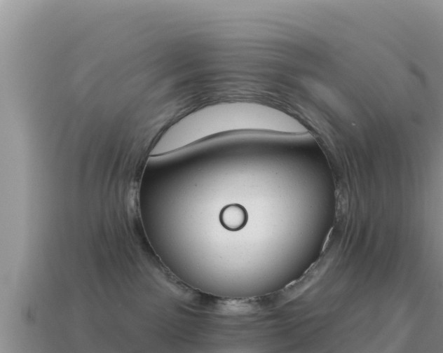 X0000114030141200910091442