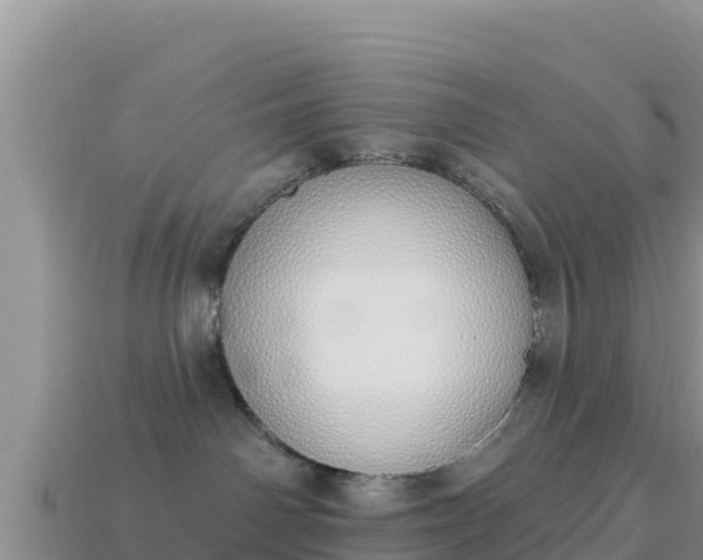 X0000114030142200910091442