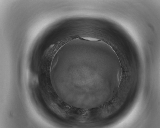 X0000114030143200910091442