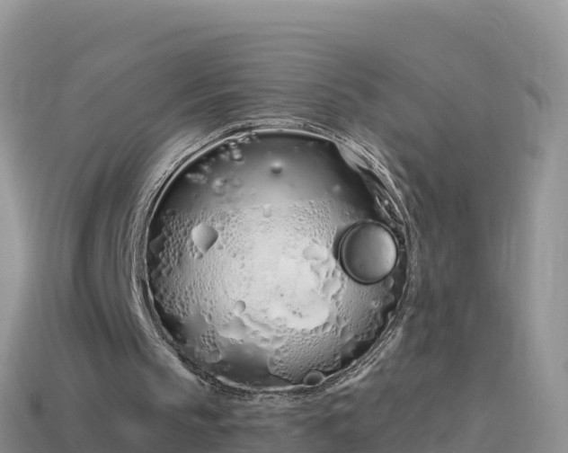 X0000114030145200910091441