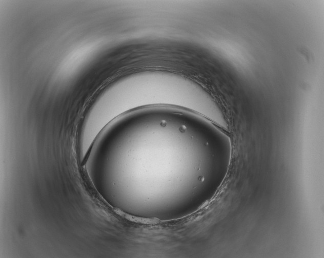 X0000114030146200910091441