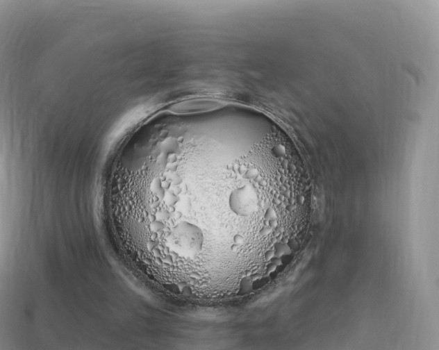 X0000114030149200910091441