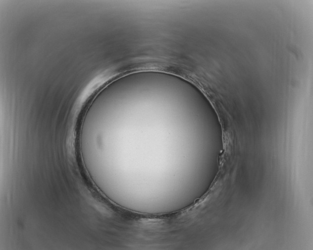 X0000114030150200910091441