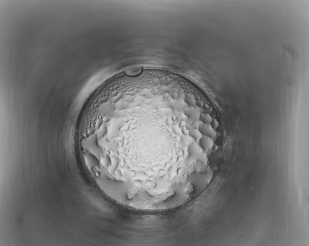 X0000114030151200910091441