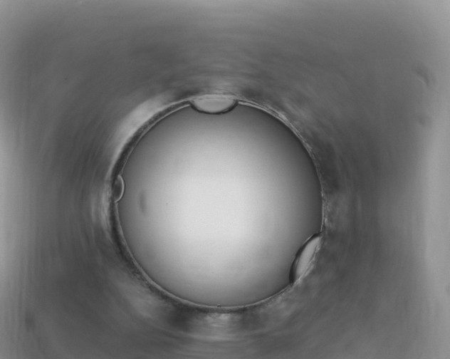 X0000114030152200910091441