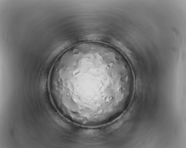 X0000114030153200910091441