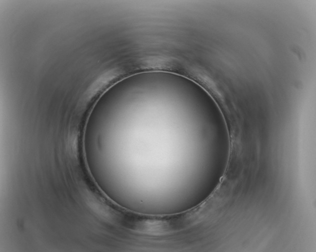 X0000114030154200910091441