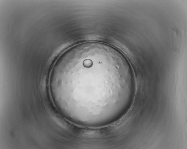 X0000114030155200910091441