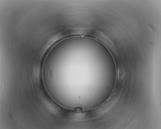 X0000114030156200910091441