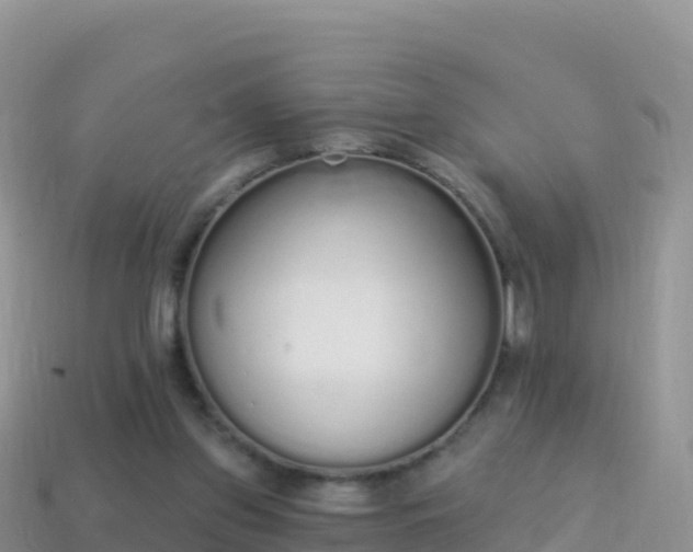 X0000114030157200910091441