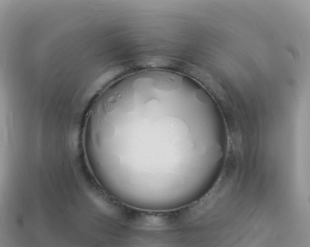 X0000114030159200910091441