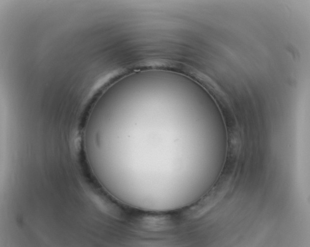 X0000114030160200910091441